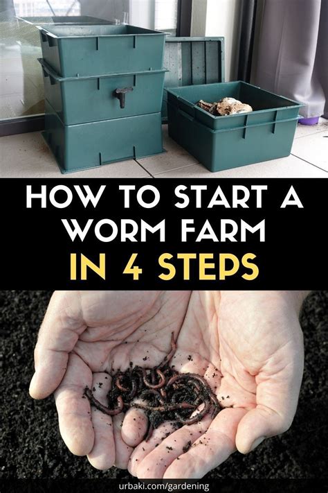 The Connection Between Magic Worm Farms and Sustainable Living